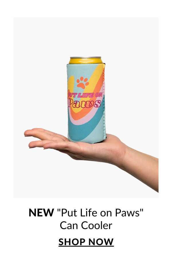 Shop Can Coolers