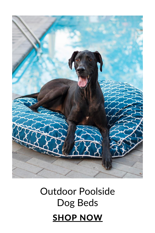 Shop Outdoor Dog Beds