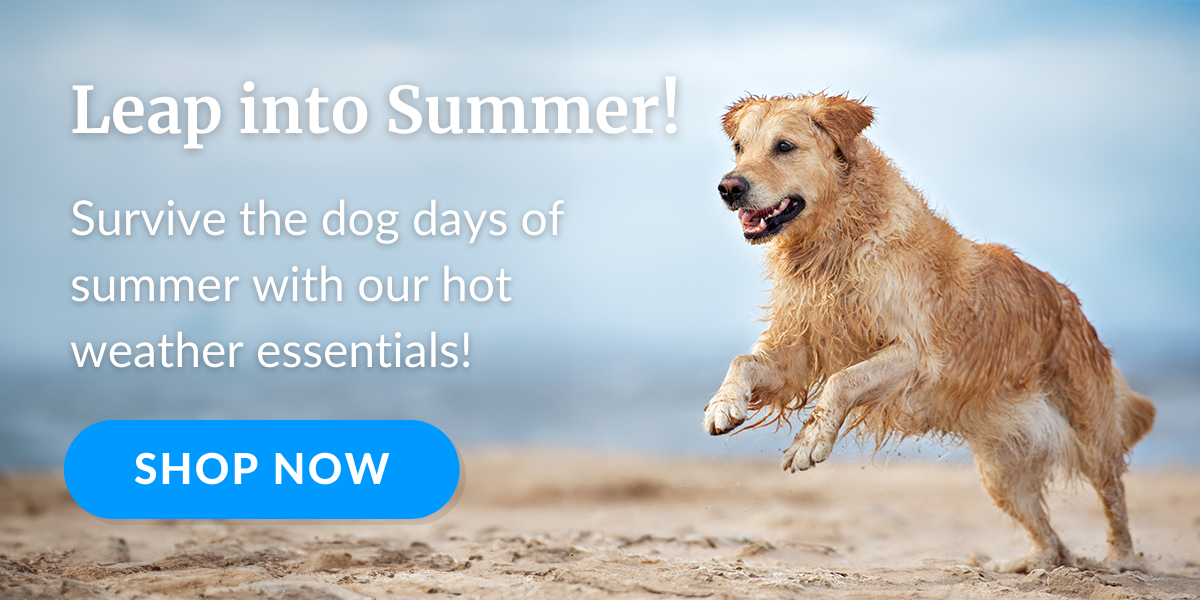 Shop Summer Essentials