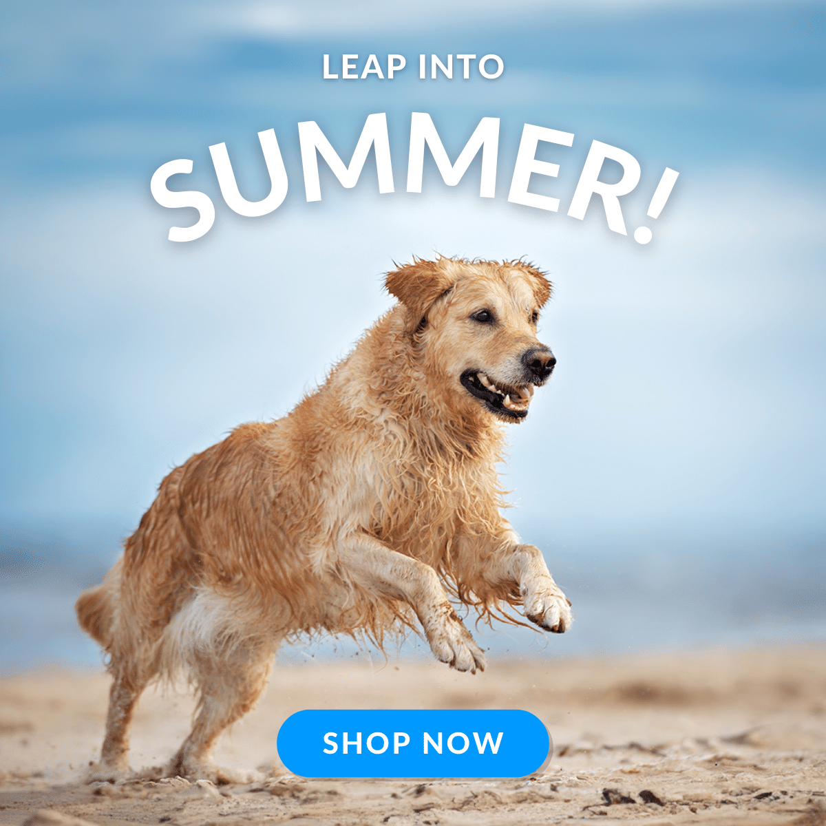 Shop Summer Essentials