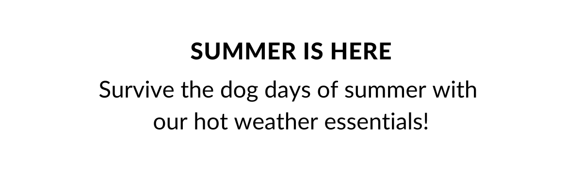 Shop Summer Essentials