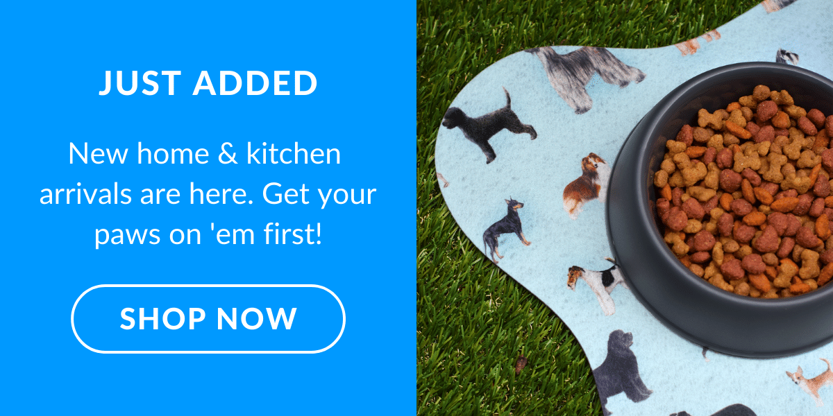 Summer New Arrivals are HERE!