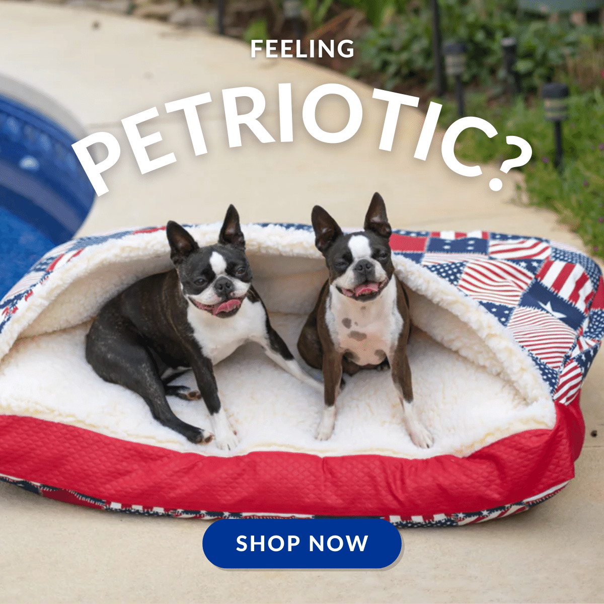 Leap into Summer!