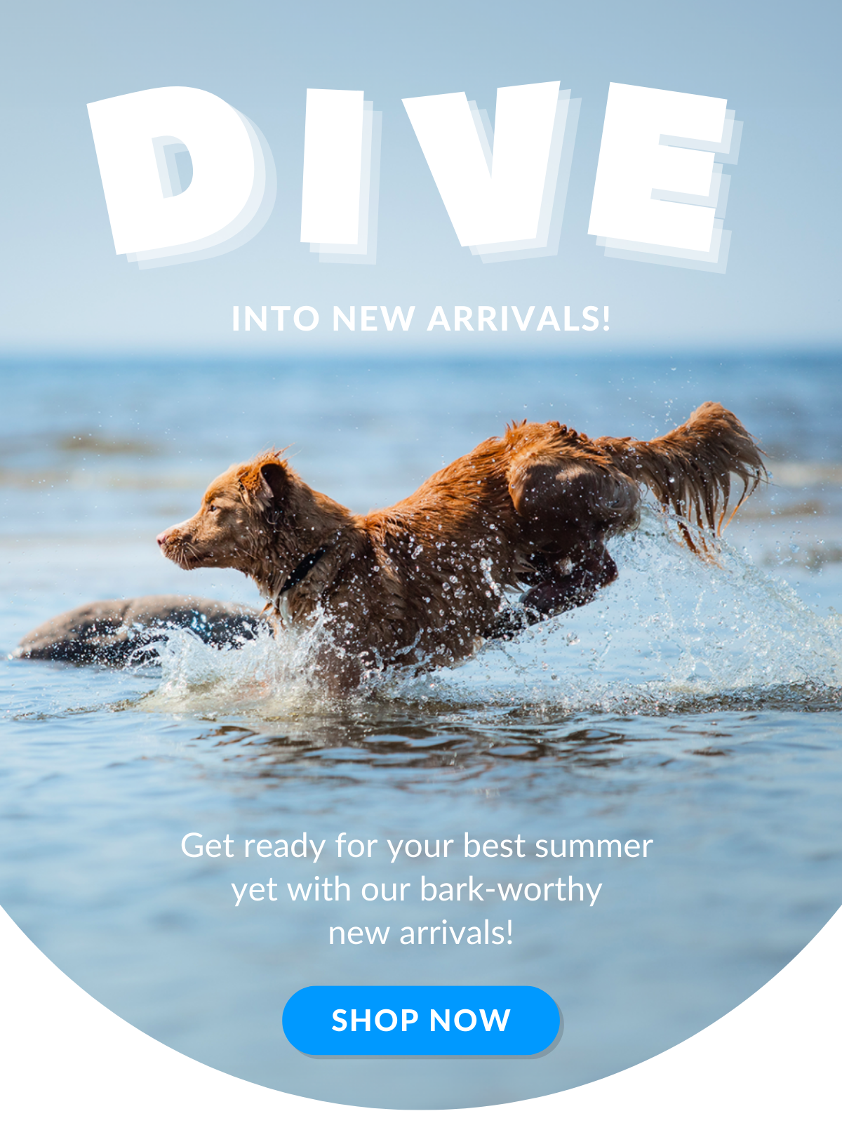 Shop Summer New Arrivals