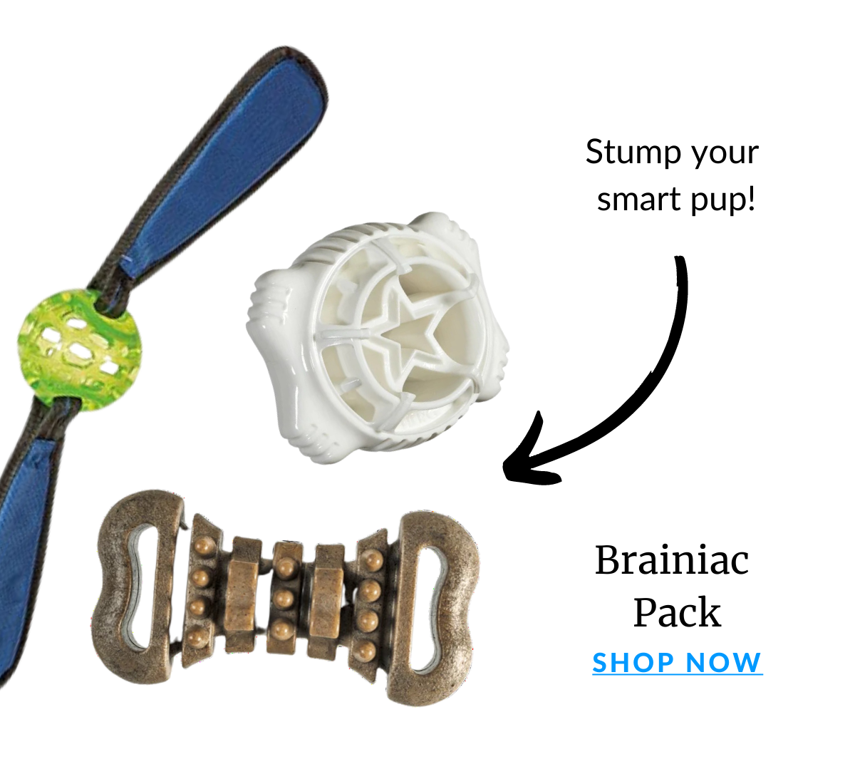 Shop The Brainiac Toy Pack