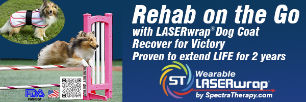 Rehab on the Go