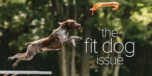 The Fit Dog Issue