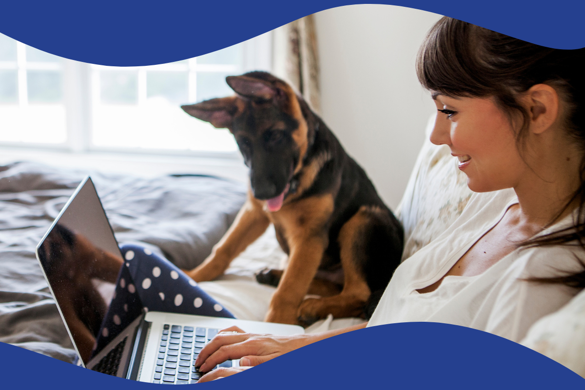 Managing Your Litters in AKC Breeder Toolkit