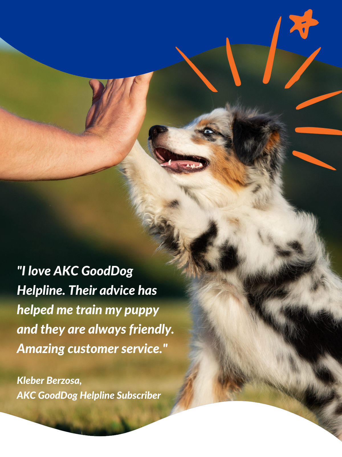 AKC GoodDog Helpline