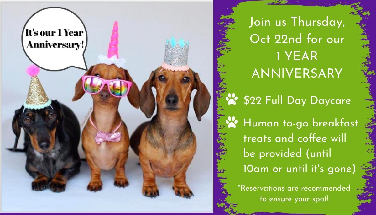 Dog Daycare Monthly Newsletter | Waggin' Tails Dog Resort & Spa