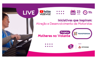 Texto alternativo