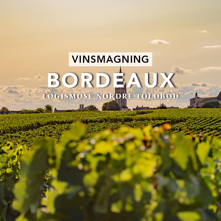 Vinsmagning Bordeaux