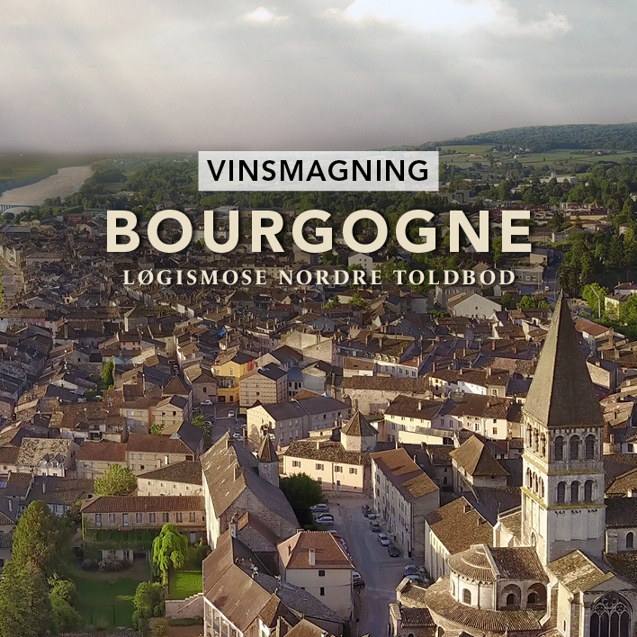 Vinsmagning Bourgogne