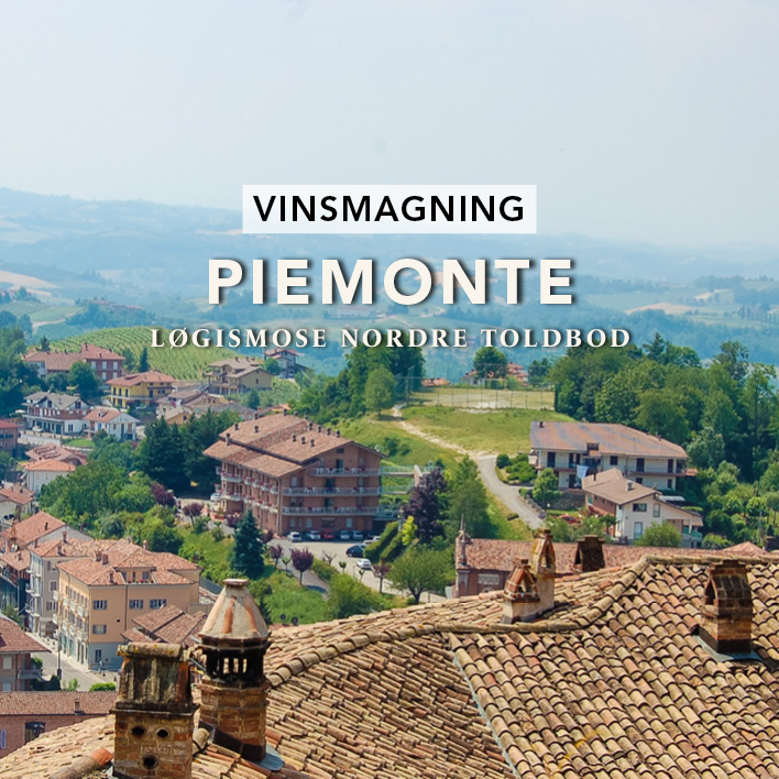 Vinsmagning Piemonte