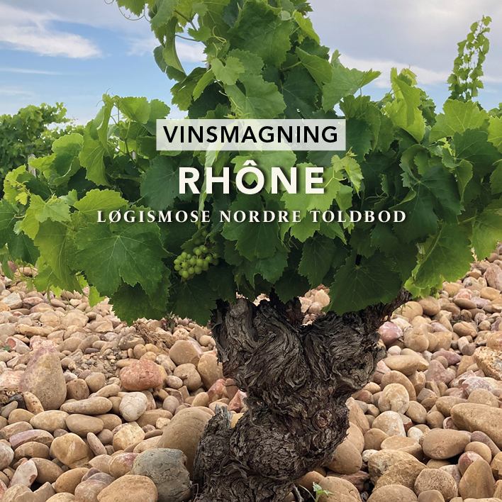 Vinsmagning Rhône