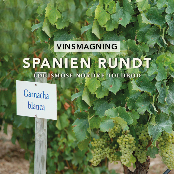 Vinsmagning Spanien