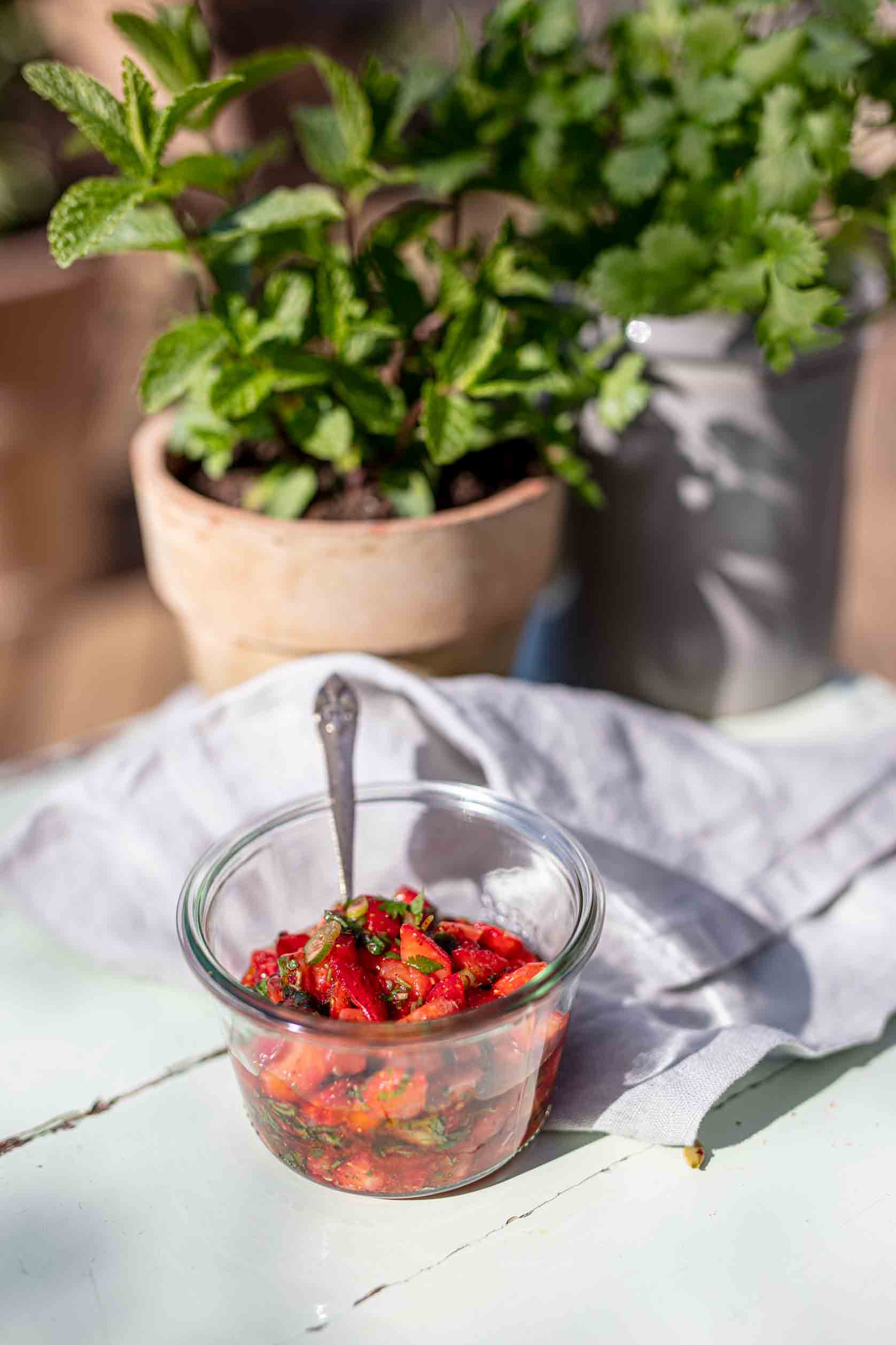 Opskrift jordbærsalsa