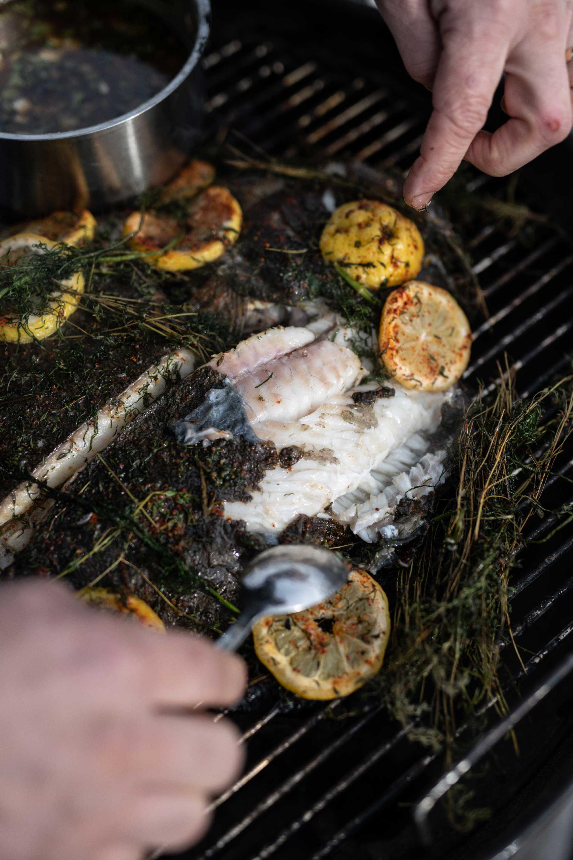 Opskrift grillet pighvar