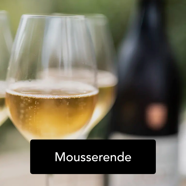 Black Friday-tilbud på Mousserende vine