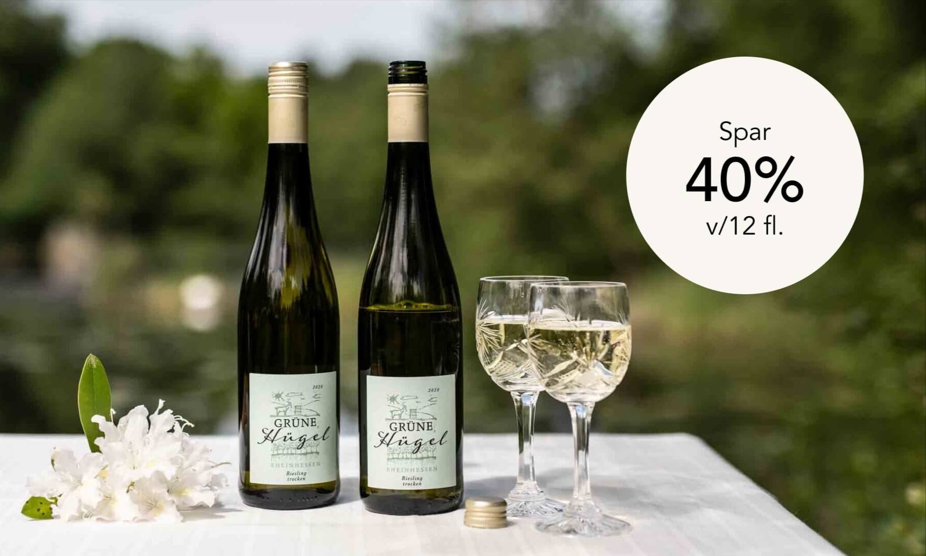 Weingut Immel fra Rheinhessen