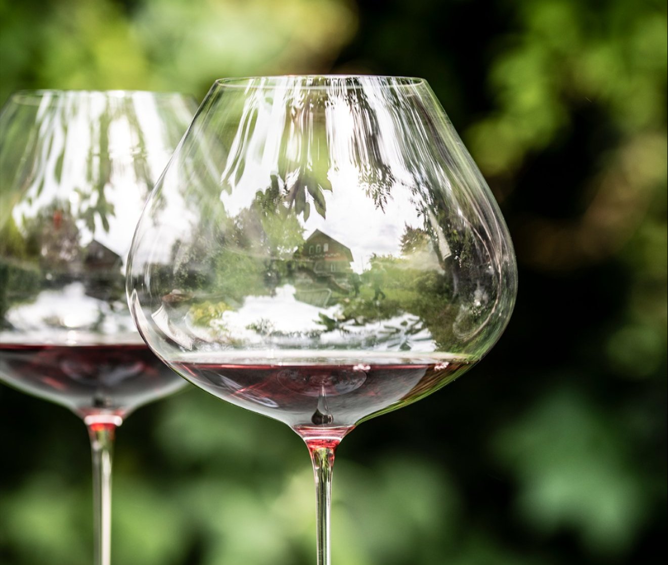 Pinot