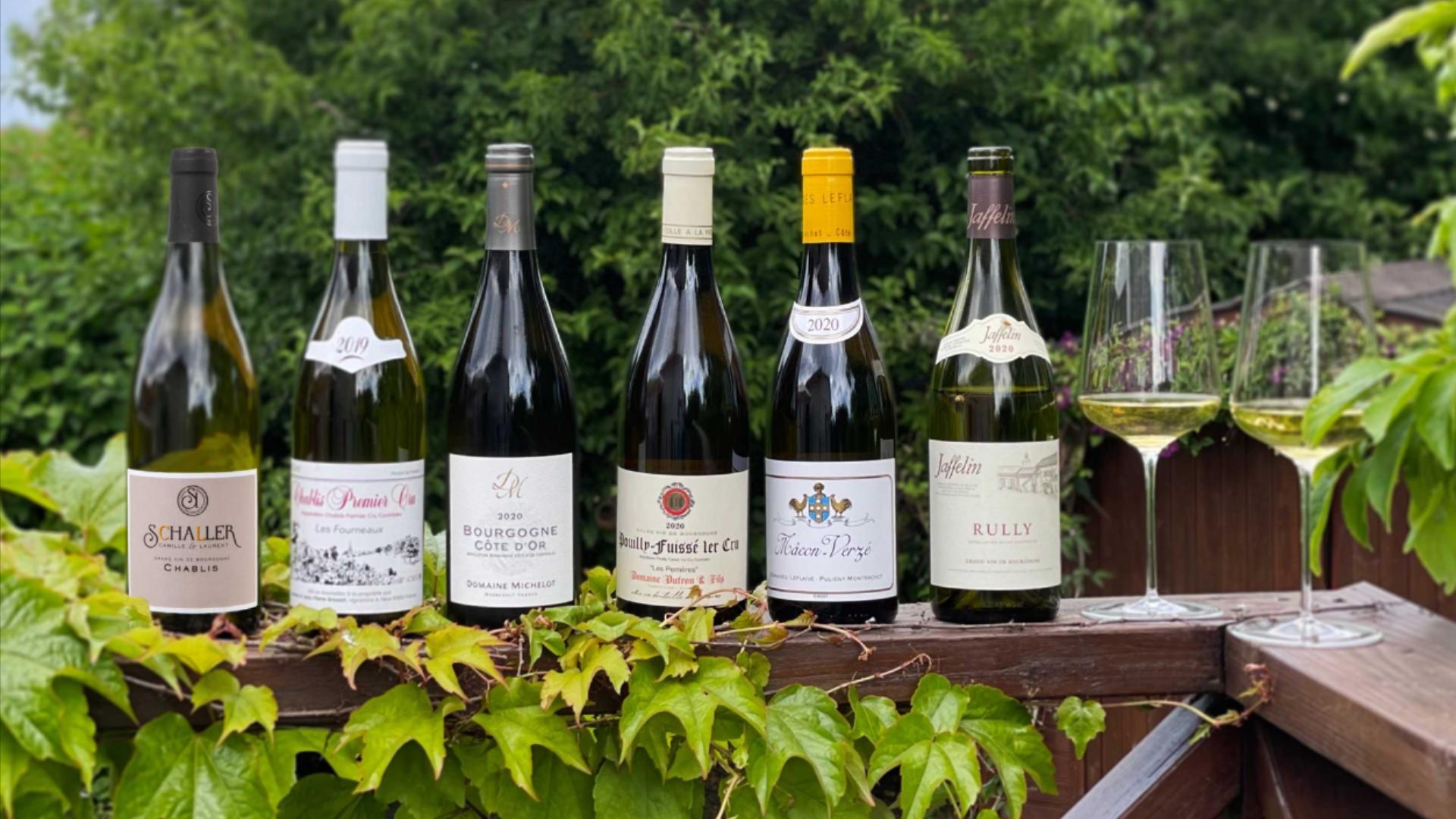 Hvid Bourgogne smagekasse