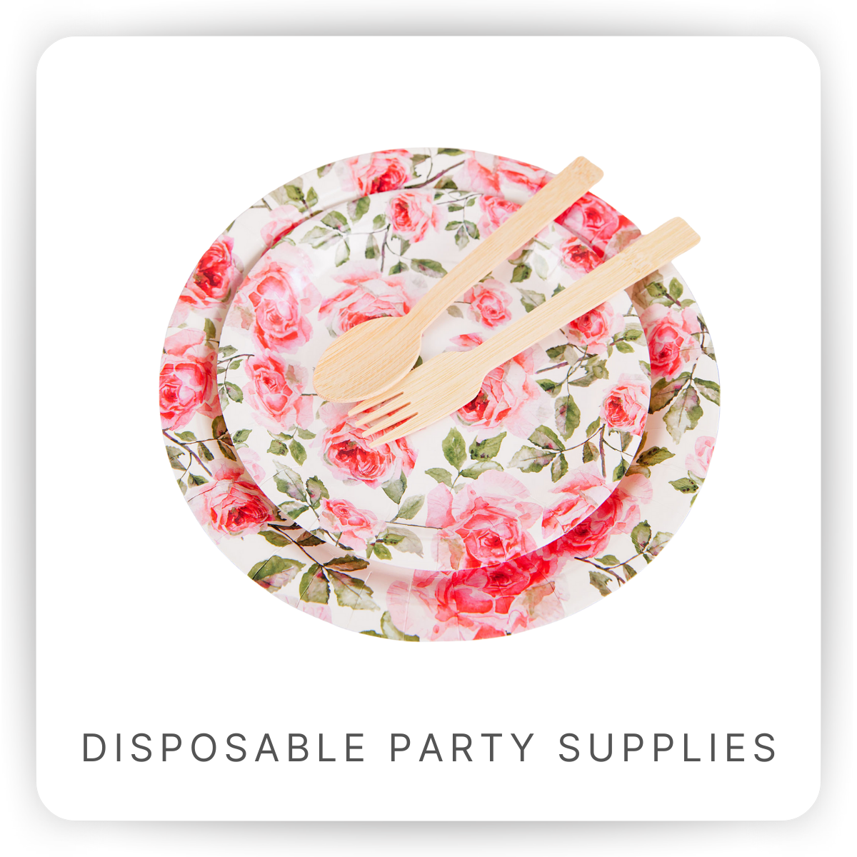 Disposable Party Supplies