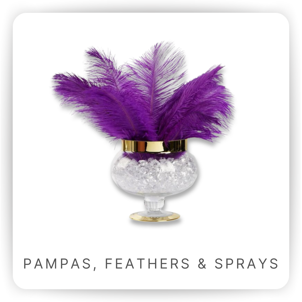 Feathers, Pampas & Sprays