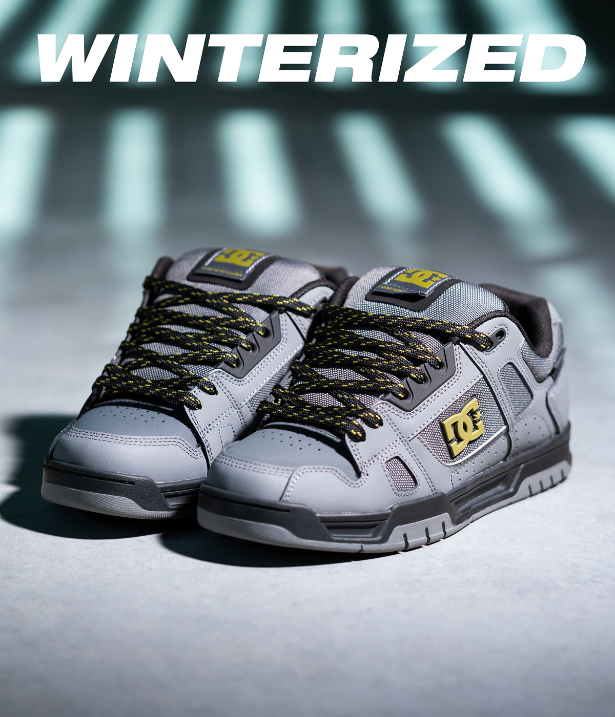 DC WINTERIZED SHOES 