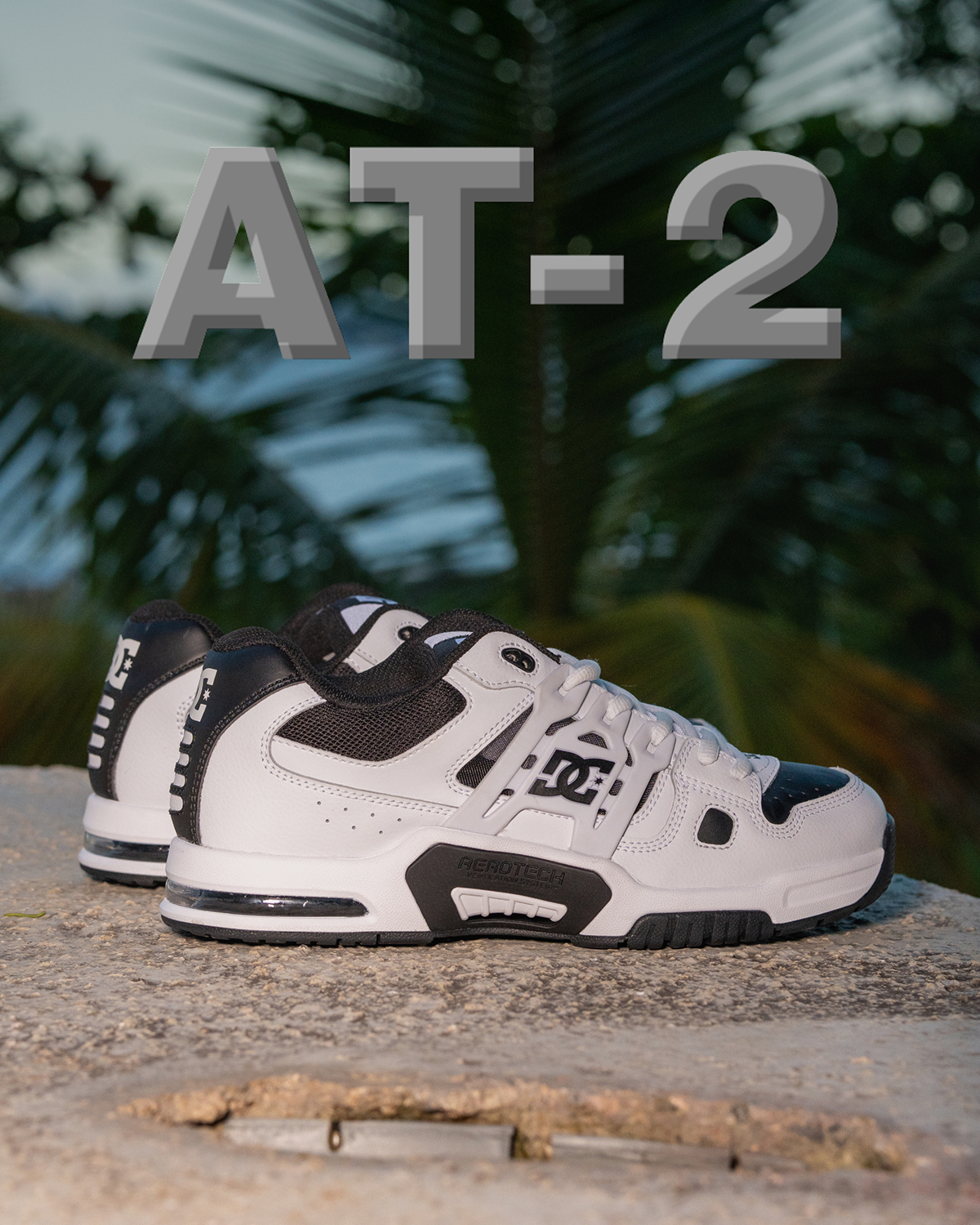 AT-2