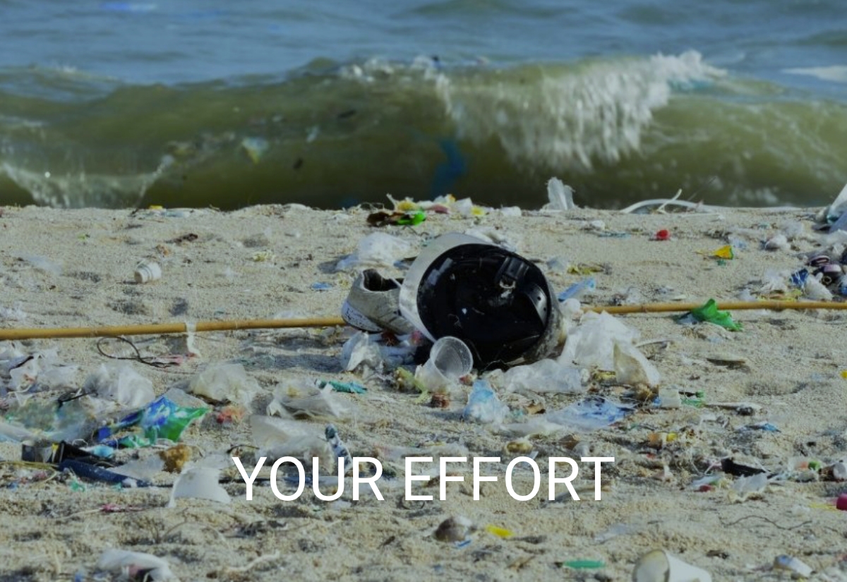 Your Effort