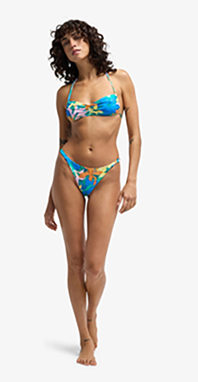 Sol Searcher Maya