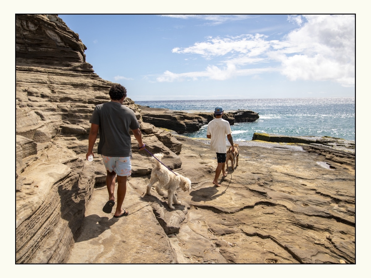 Life is better in boardshorts - Billabong