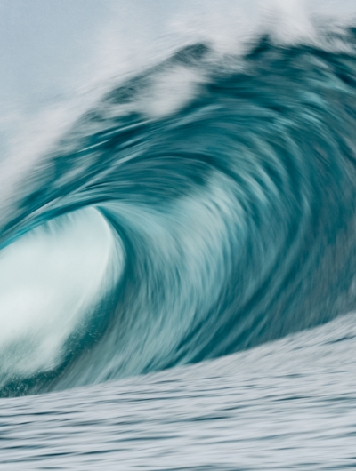 ROXY Essential Trends