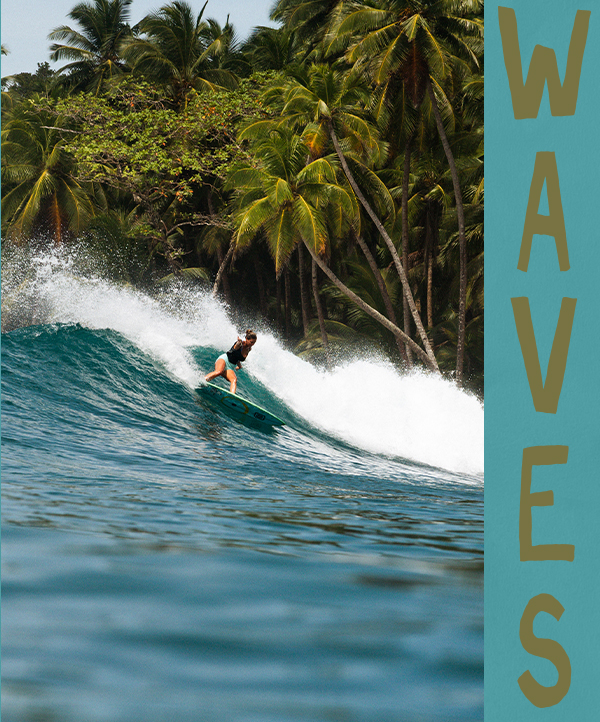 Billabong Surf Capsule