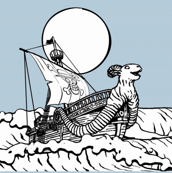 Quiksilver x One Piece