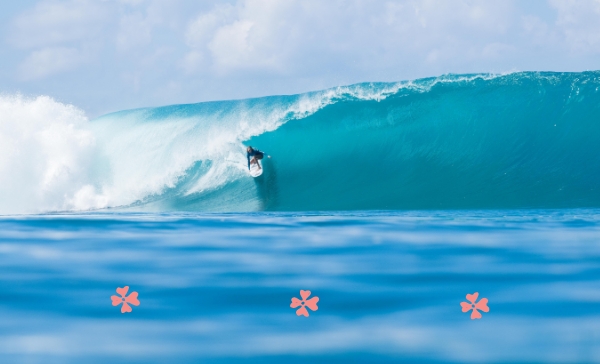 Surf Capsule