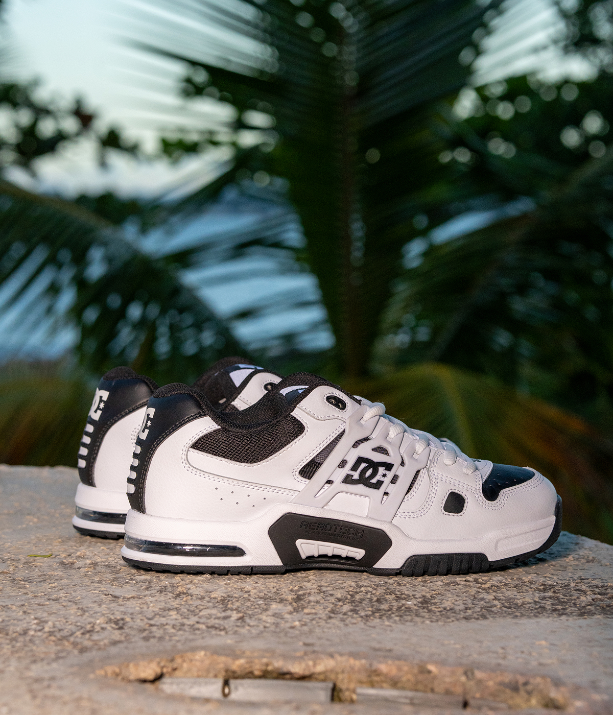 DC WHITE SELECTION