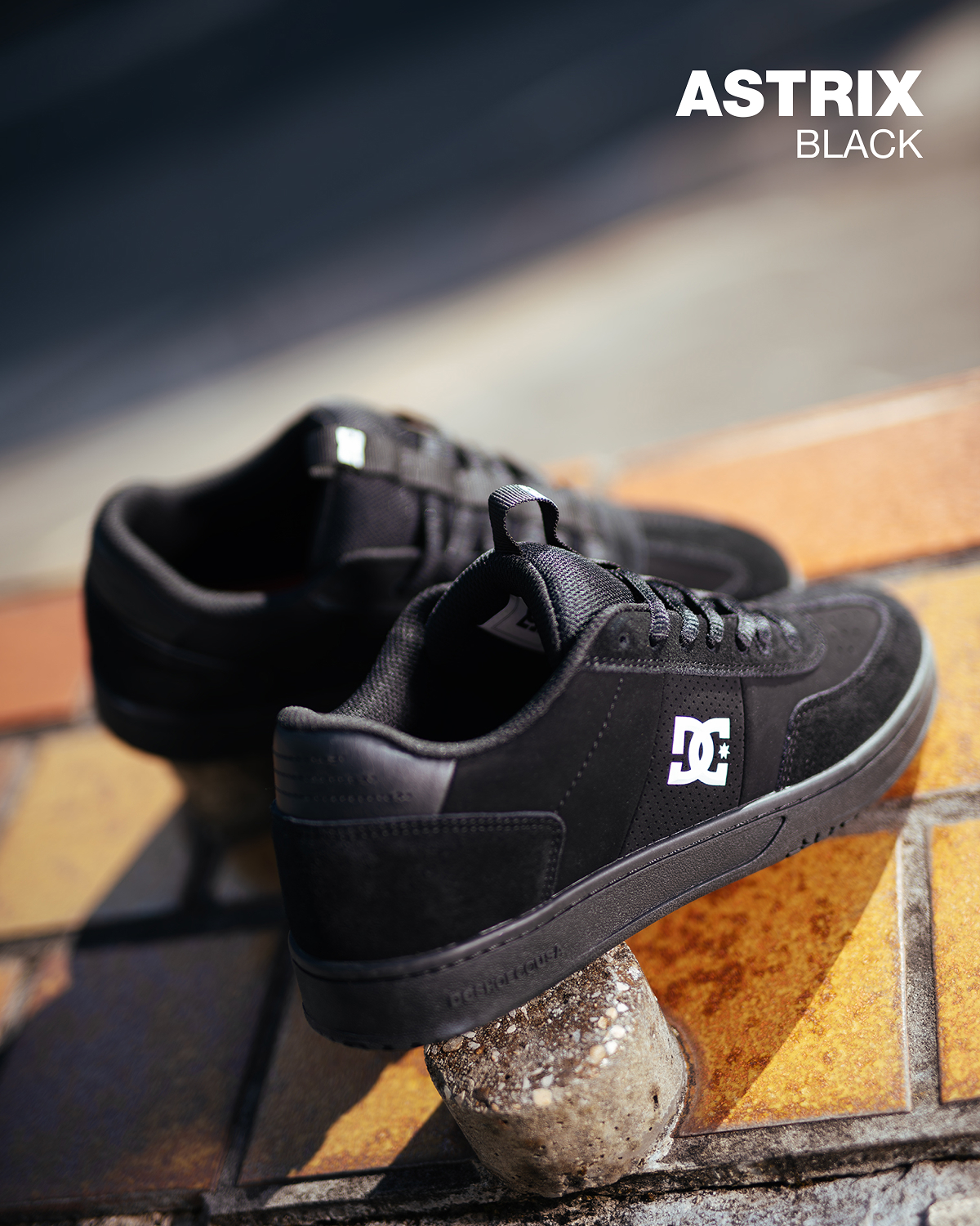 DC SHOES NEW ARRIVALS