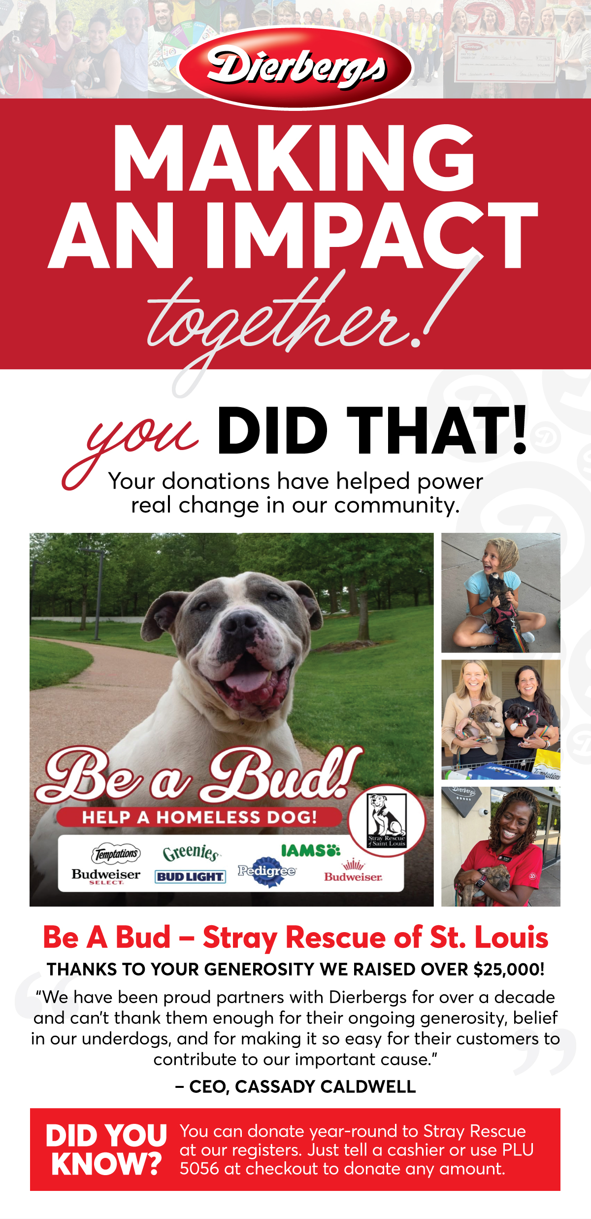 Making an impact together with Dierbergs! You did that! Your donations have helped power real change in our community. Be a Bud raised over $25,000 for Stray Rescue of St. Louis thanks to your generosity.