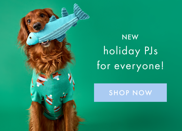 New holiday PJs for everyone! | SHOP NOW