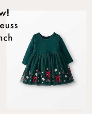 Baby Long Sleeve Tulle Embroidered Dress | Festive Bows on Green