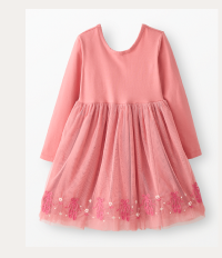 Long Sleeve Tulle Embroidered Skater Dress | Pointe Shoes on Macaron