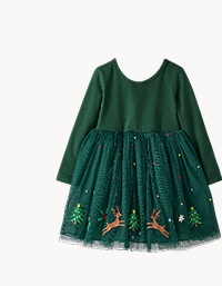 Long Sleeve Tulle Embroidered Dress