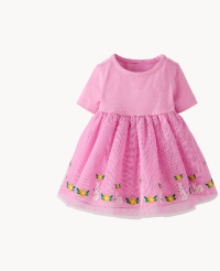 Baby Embroidered Tulle Skater Dress