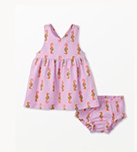 Tea Rose Seahorse Set
