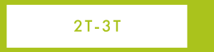 2 T - 3 T