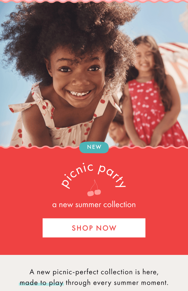 NEW | picnic party — a new summer collection | SHOP NOW