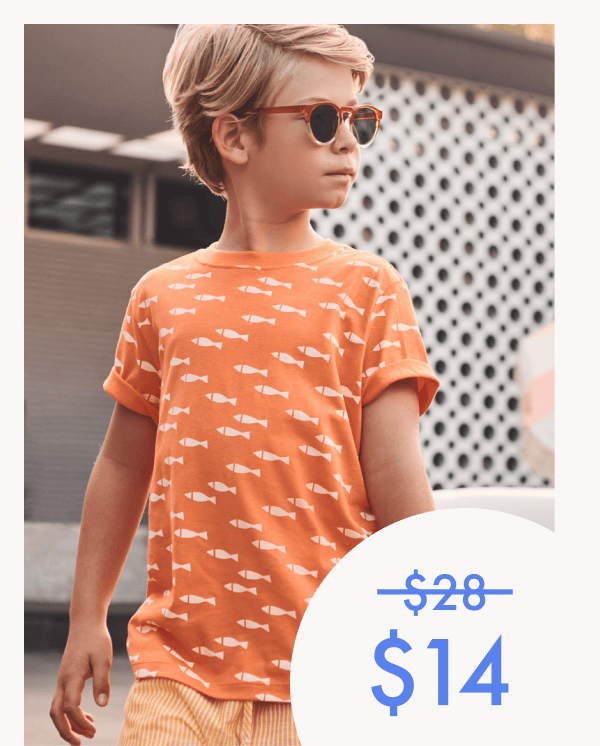 School of Fish — $28 on sale for $14