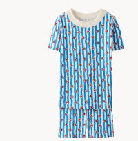 HannaJams™ Pajama Set | Flowers on Swedish Sky Stripes